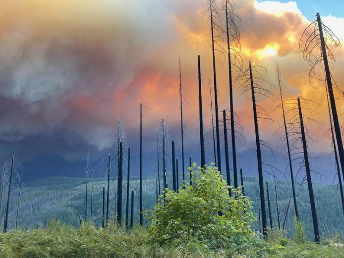 A wildfire photo from USGS